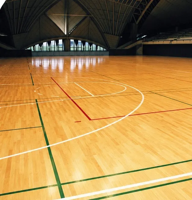 Indoor basketball court with a wooden floor and painted court lines